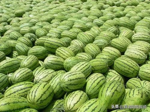 热门大瓜有哪些,揭秘明星幕后故事